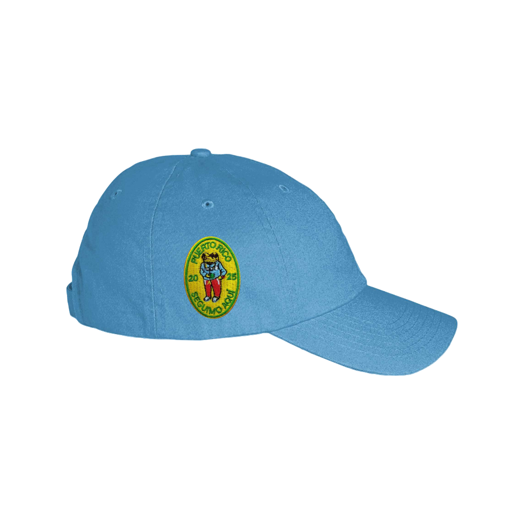 DTMF Blue Dad Hat