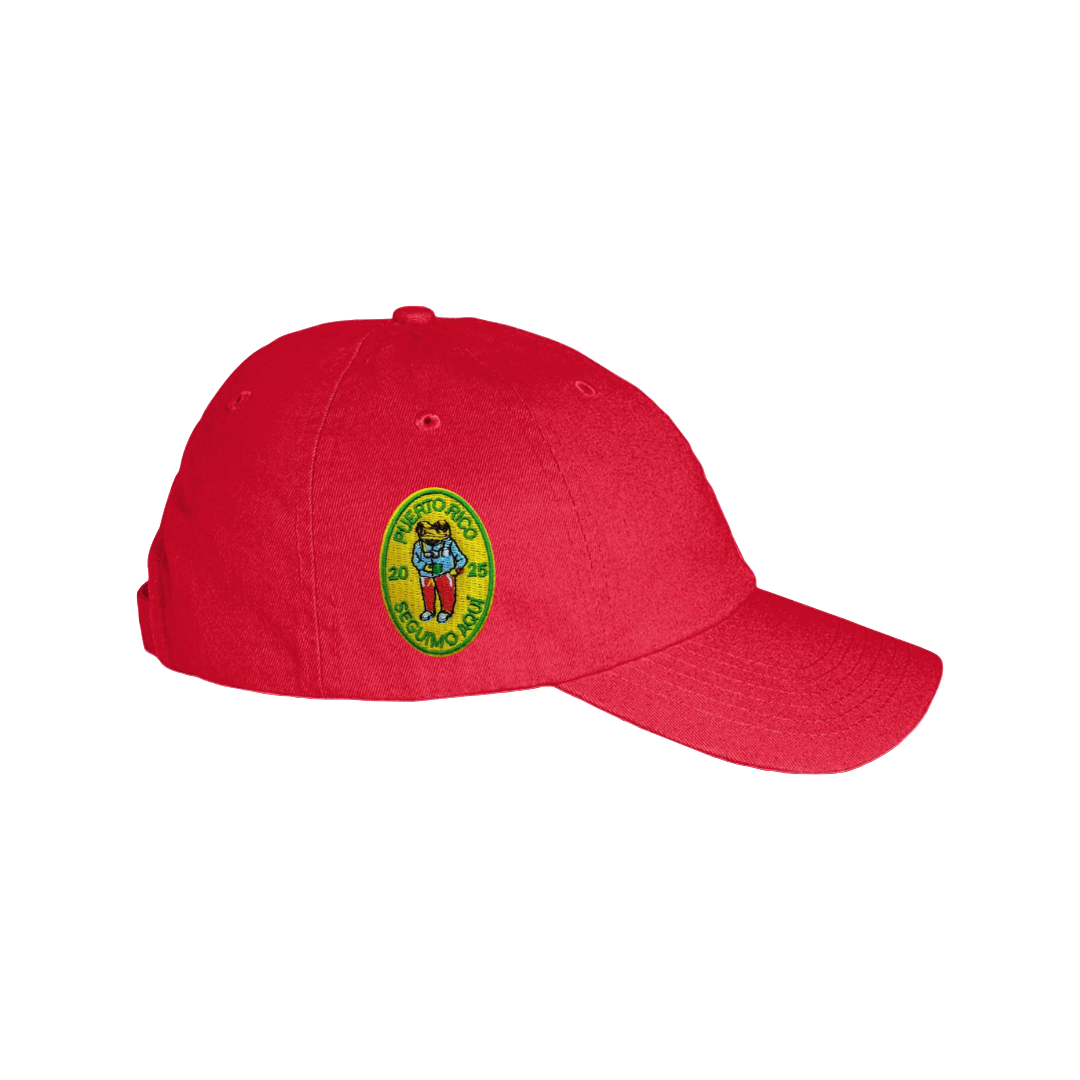 DTMF Red Dad Hat